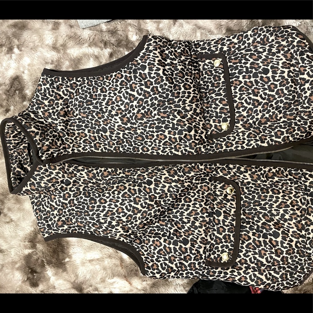 J Crew vest